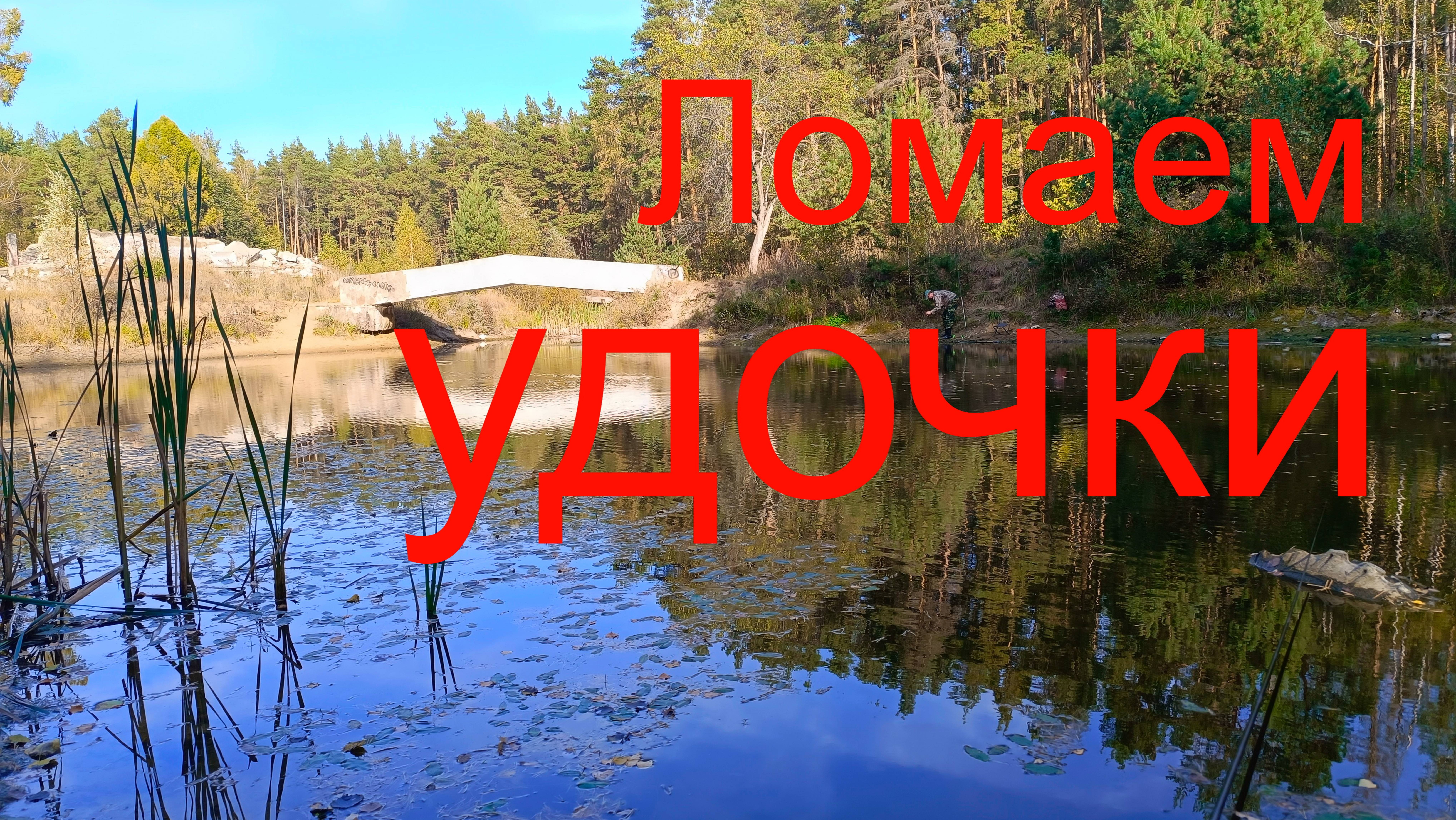 Ломаем удочки. г. Раменское. Пруды на Северном шоссе.26.09.2024.