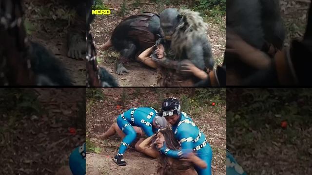 VID_20241005_080849_412.mp4