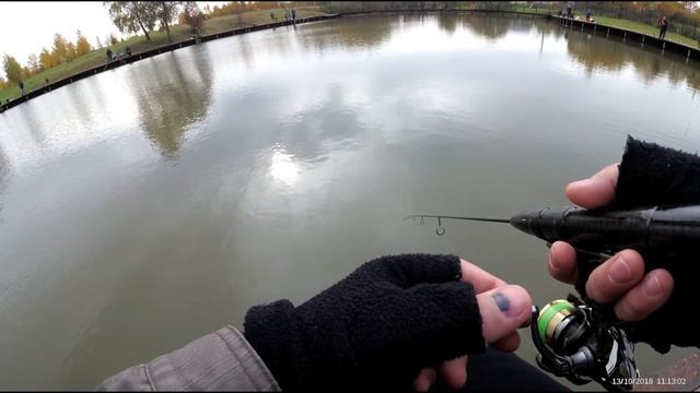 Trout fishing. Moscow region.  The Fishing club "FISHERIX". 13/10/2018