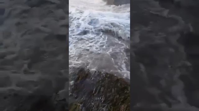 Дамбу в селе Шелаболиха в Алтайском крае смыло огромным количеством воды, разрушена дорога и мосты.