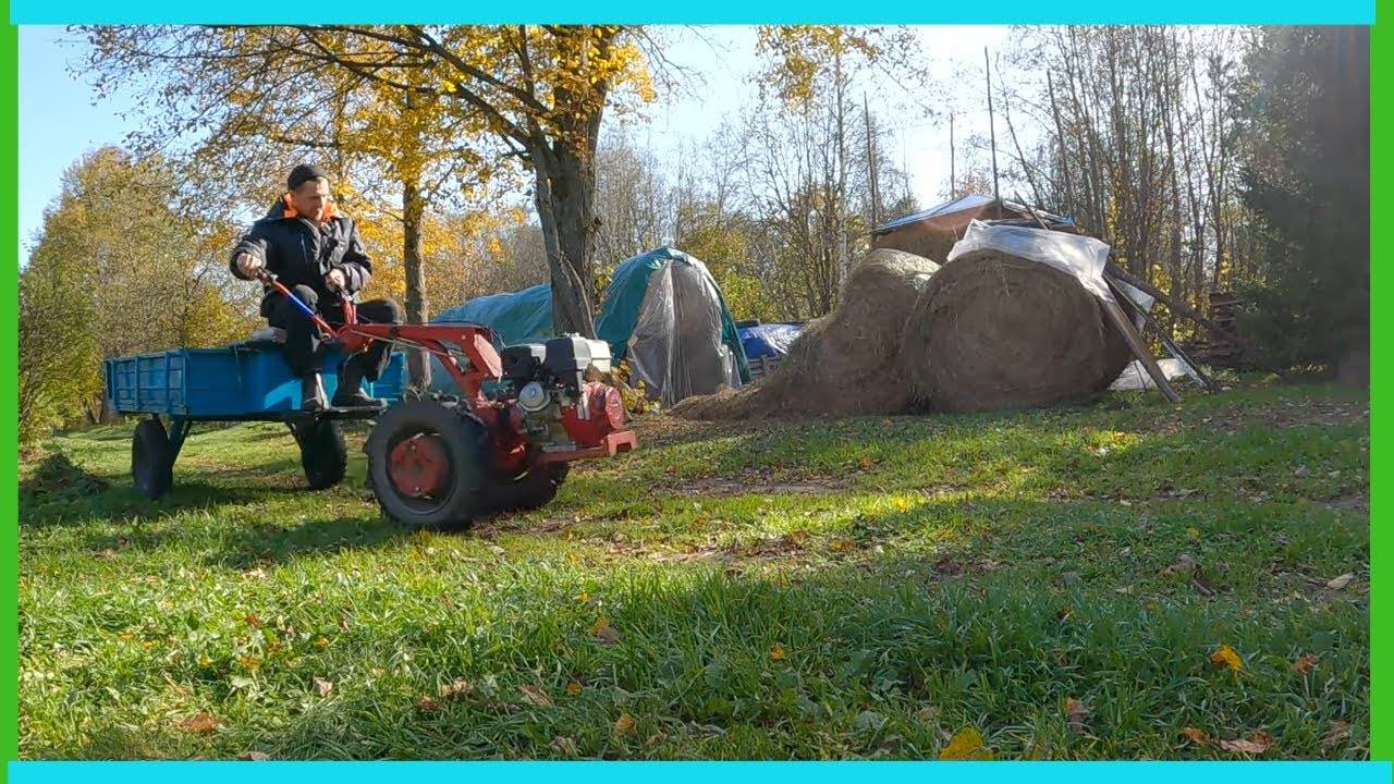 Такие вот будни в деревне: УЖЕ октябрь, сыр, индюки, стройка, хозяйство!