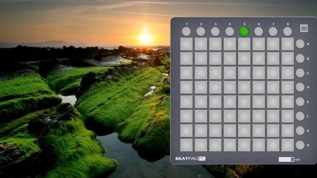 Sofia Carson, Alan Walker - Back To Beautiful [Beatpad 64x Cover] + Lyrics