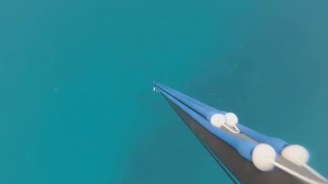 Подводная охота в Тайланде. Spearfishing in Thailand.