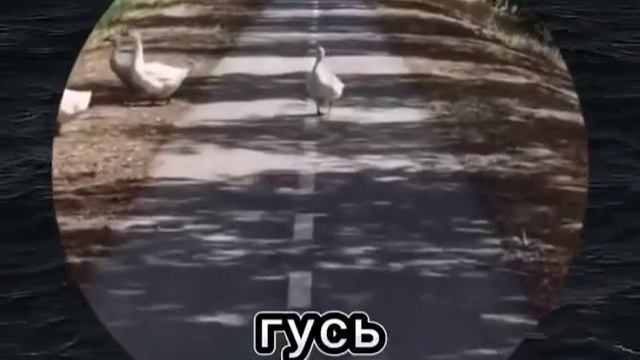 #шутка #вайны #хаха #шутки