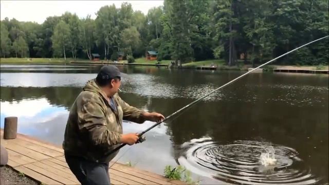 Поимки осетра на нижнем. Клёвое место лосиный остров