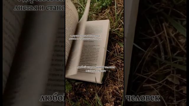 #книги #сумерки #books