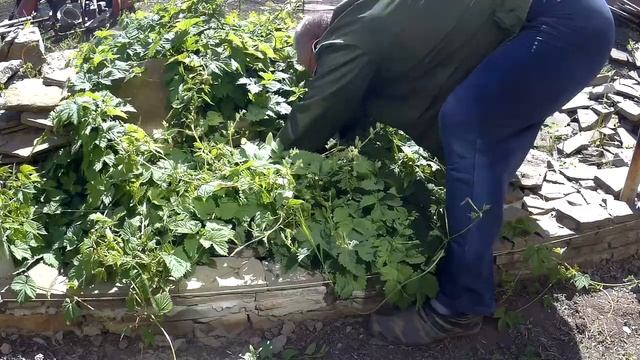 ЖИВЕМ В ДЕРЕВНЕ!!ГОТОВИМ ГРЯДКИ ПОД РАССАДУ!!ПЛАВНО ПЕРЕХОДИМ К СТРОИТЕЛЬСТВУ!!