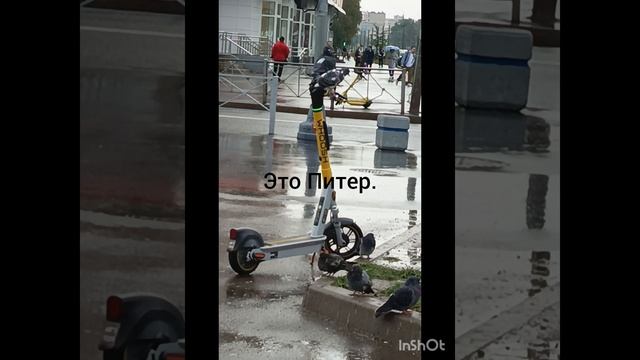 Питерские самокатчики