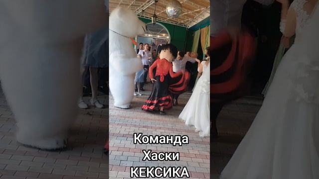 Команда Хаски КЕКСИКА