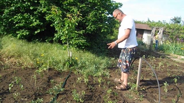 Gartenrundgang im Mai teil 2 ,Садовый тур в мае часть 2