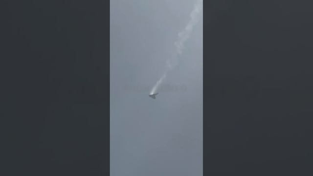 Над ДНР был сбит ударный БПЛА Сухой С-70.