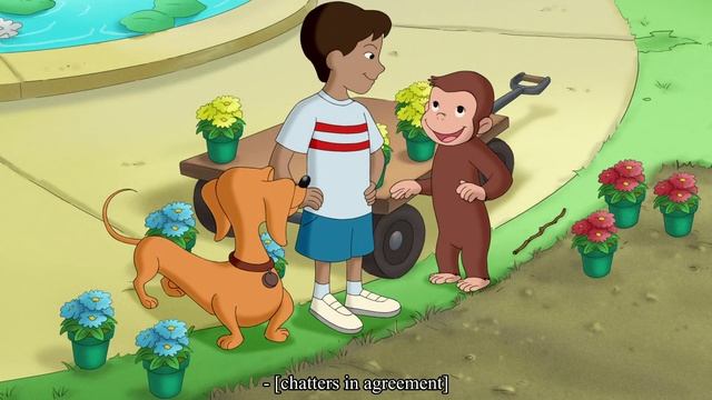 Curious George - 260 - Flower Monkey (Learn English Language with subtitles)