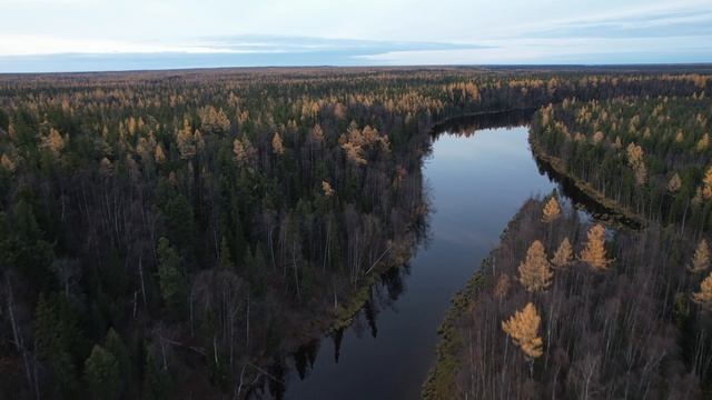 ЯНАО, полет коптера,Надымский район