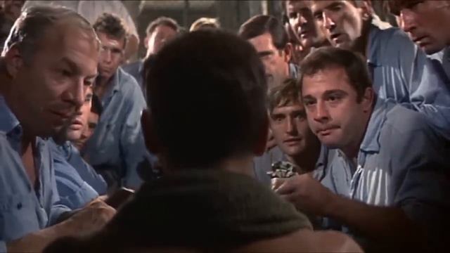 Paul Newman - Cool Hand Luke (1967)  |  "Nobody can eat 50 eggs" | An Oscar-Winning Classic