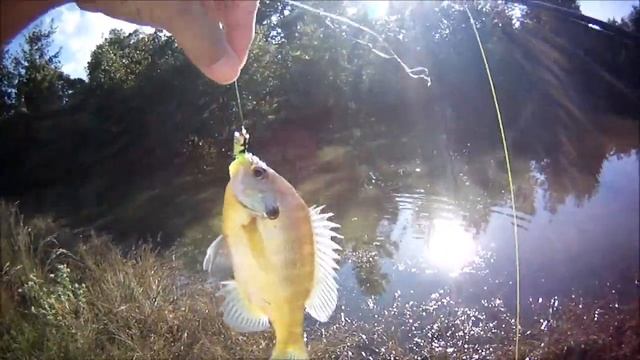 Panfish Popper Flyfishing  - A Short Peaceful Moment in Early Fall