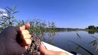Рыбалка с лодки на поплавок