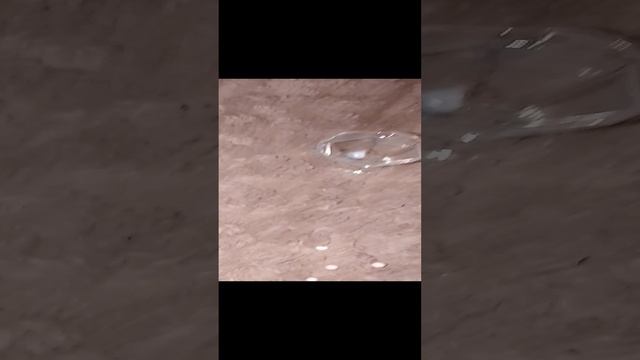 делаю коктейли для игрушек