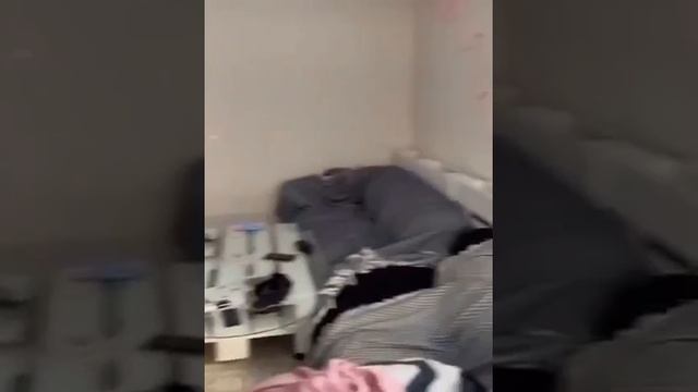 Чиво? Кто, кто у доме хозяин?😂😂😂