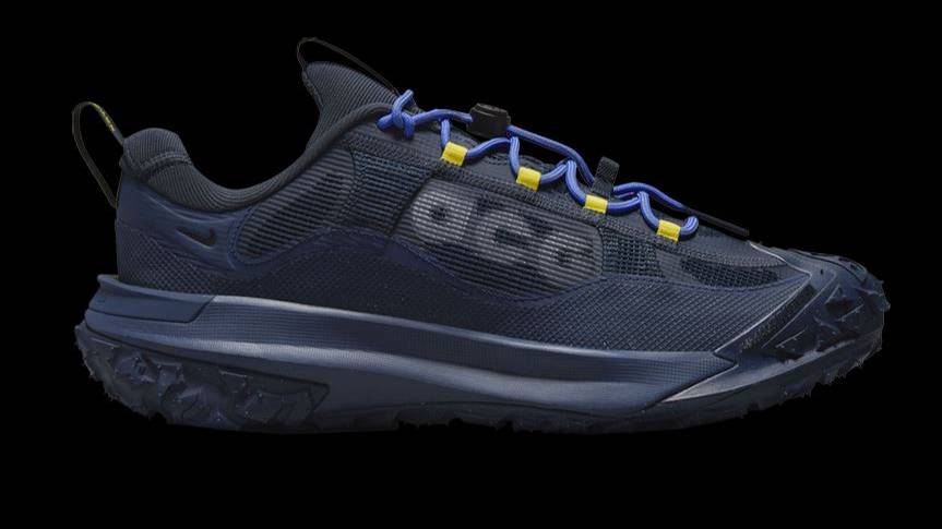 Кроссовки ACG Mountain Fly 2 Low GORE-TEX 'Midnight Navy'. СДЭК Шоппинг