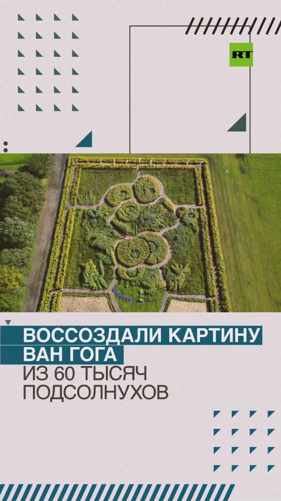 В Голландии воссоздали картину Ван Гога из 60 тысяч подсолнухов