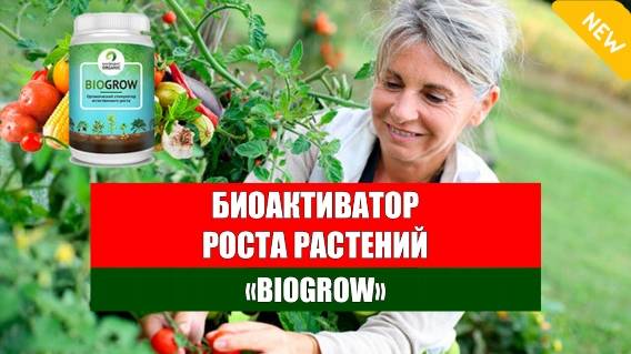 Как увеличить урожайность картофеля ☑