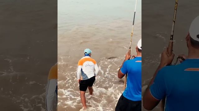 Fishing barramundi on popper ( jitada)