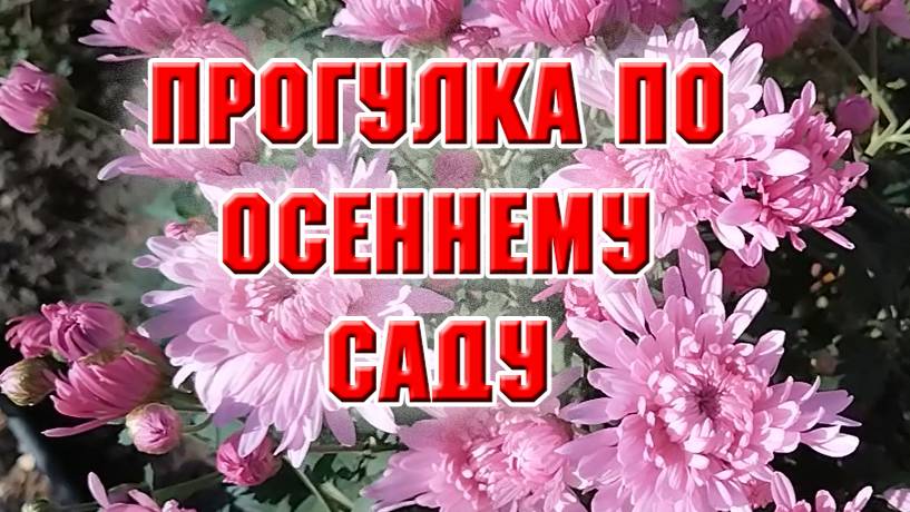 Осенняя прогулка по цветущему саду