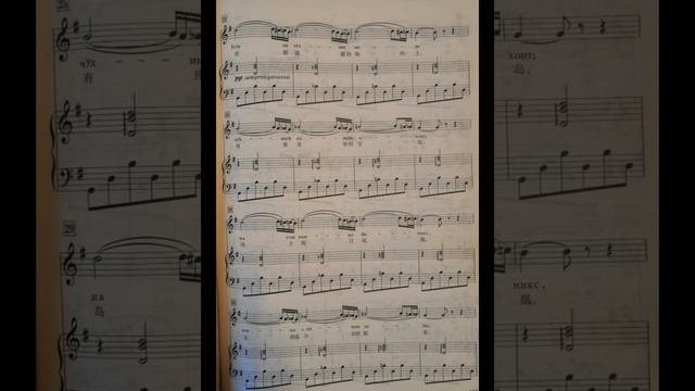 Song of the Indian GuestSadko印度客人之歌 萨特科piano accompaniment music  钢琴伴奏音乐