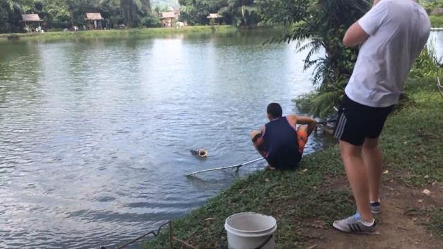 Phuket Fishing Lake Huge Carp Thailand