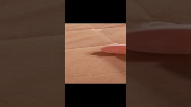 вечерний влог с басиком