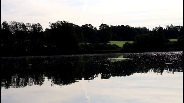 Light Summer Zander Fishing Slow-TV