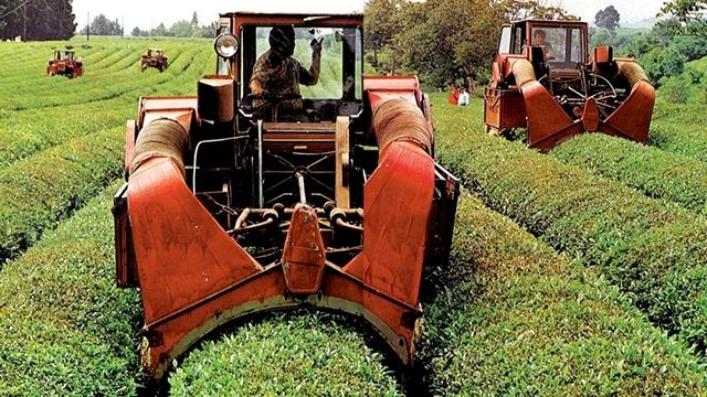 Первая в мире чаесборочная машина выборочного действия ЧСН 1,6 «Сакартвело»  Легенда СССР