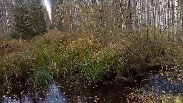 нашли новое место металл есть, выезд на два дня