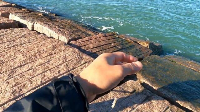 Sheepshead Fishing   Fishing Port Aransas Texas   Jetties