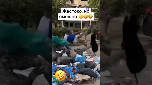 Смешные видео