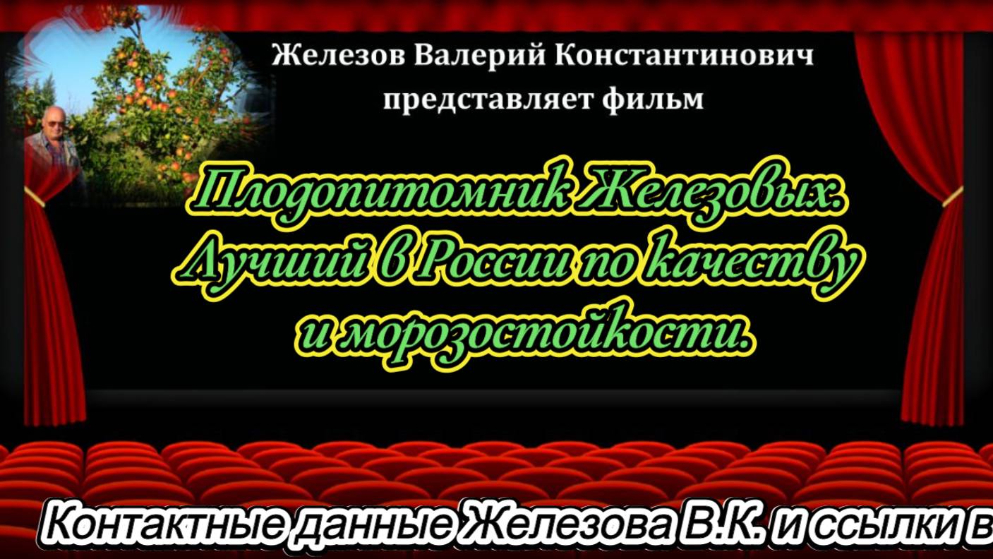 Плодопитомник Железовых. Лучший в России по качеству и морозостойкости.