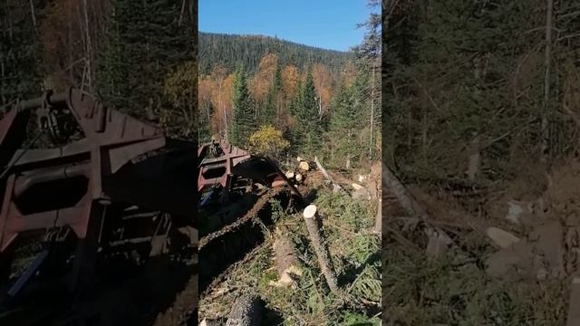 ТТ-4, из старых архивов