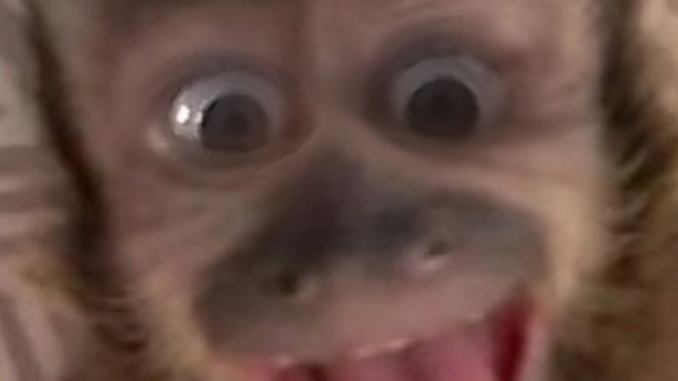 хз