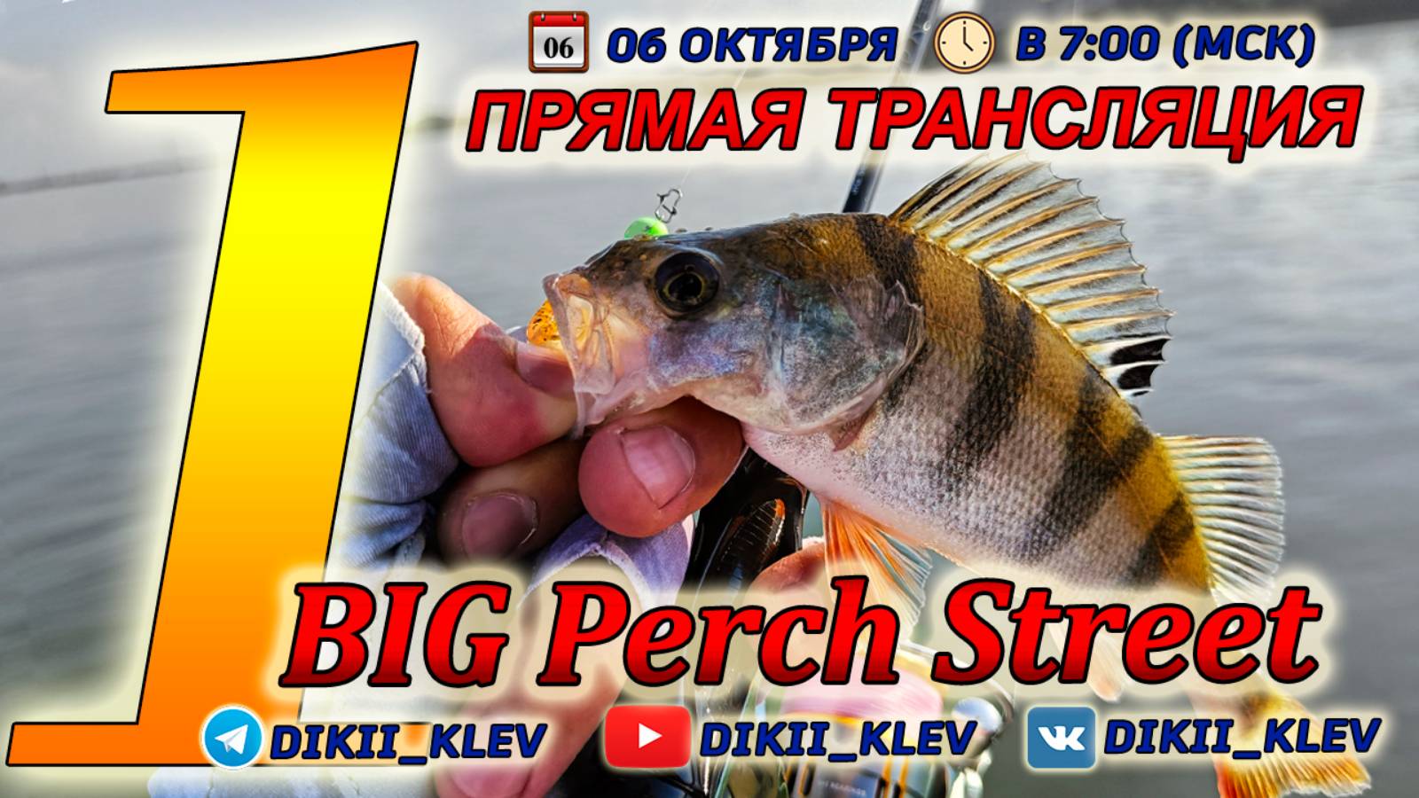 Первый этап Турнира Big Perch Street 2024! Прямая трансляция.