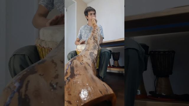 ДИДЖЕРИДУ ИЗ ВЯЗА, ЗВУЧАНИЕ