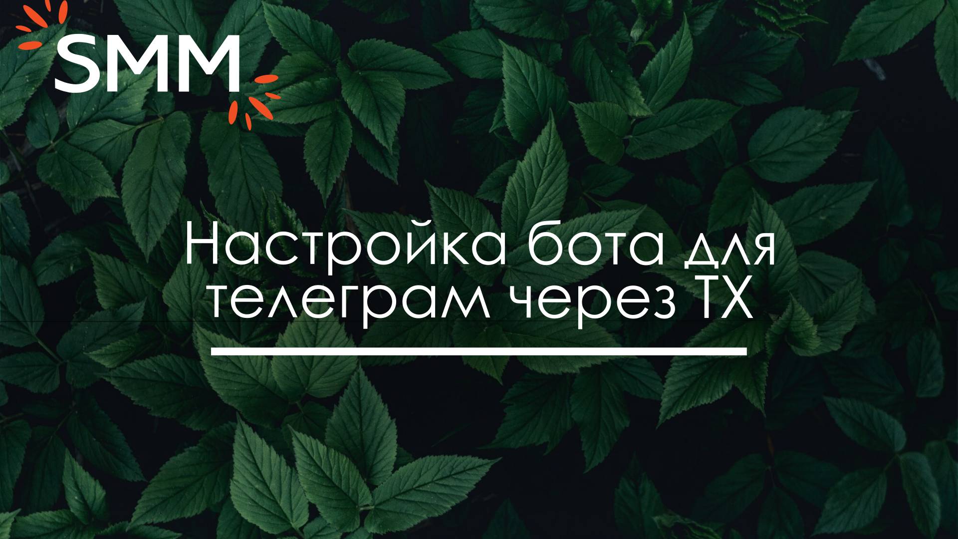 Настройка чат-бота для телеграм в сервисе ТХ - Анна Цхай