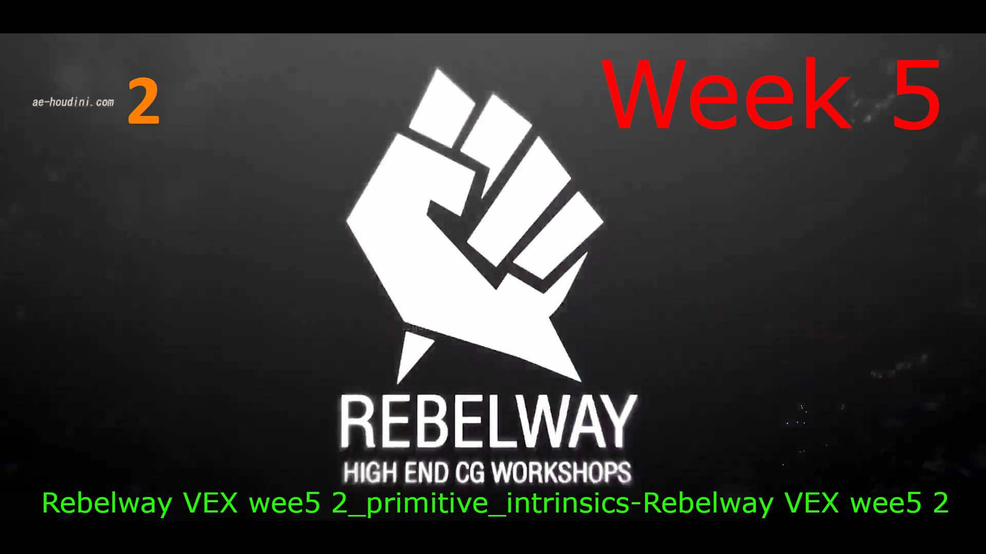 Rebelway VEX wee5 2_primitive_intrinsics-Rebelway VEX wee5 2