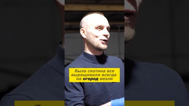 Чем ОПАСЕН навоз при внесении как удобрение