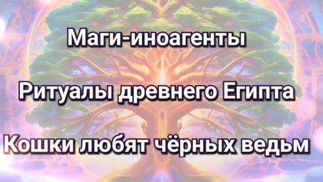 Маги-иноагенты, ловцы Душ, ритуалы Египта. Кошки - вредны?