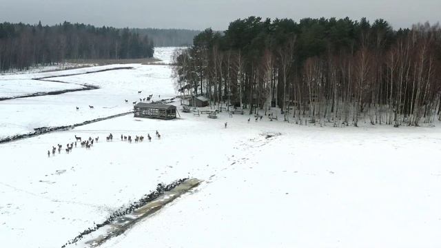 Экскурсия в САФАРИ-ПАРК