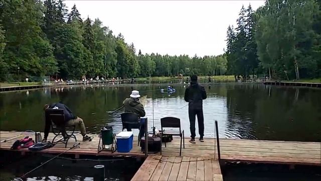 Запуск 200 кг осетра в нижний пруд, навеской 2,3 - 4,5 кг. Клёвое место, Лосиный остров.