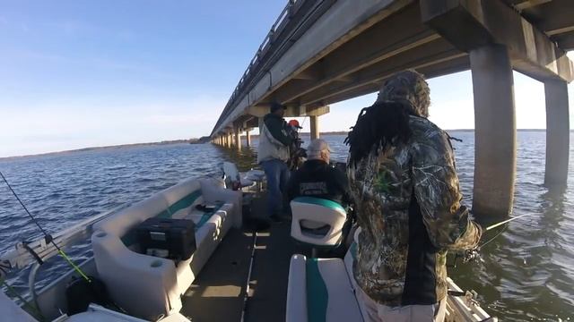 Vertical Crappie Fishing in the Winter #wintercrappie #Panoptix