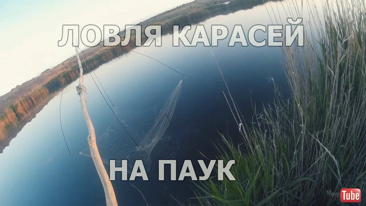 ✅ЛОВЛЯ КАРАСЕЙ В КАМЫШАХ НА ПАУК