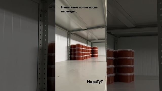 Наполняем полки после переезда #морепродукты #икратут