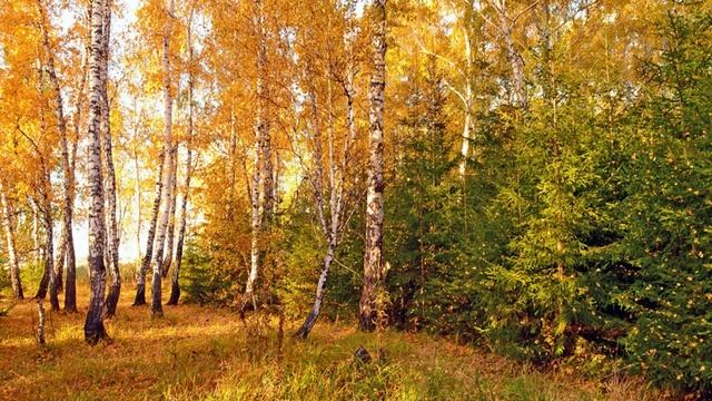 И. Бунин. Листопад